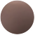 Brown Tortoise