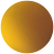 Blonde Tortoise