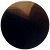 Glazed Tortoise