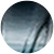 Ocean Tide