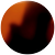 Brown/Tortoise