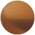  Tortoise 